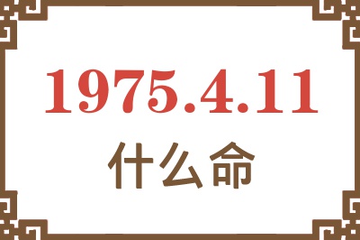 1975年4月11日出生是什么命？