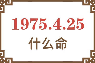 1975年4月25日出生是什么命？