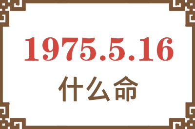 1975年5月16日出生是什么命？