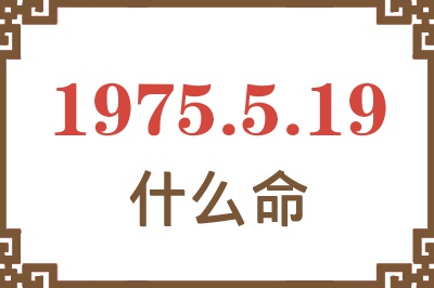 1975年5月19日出生是什么命？