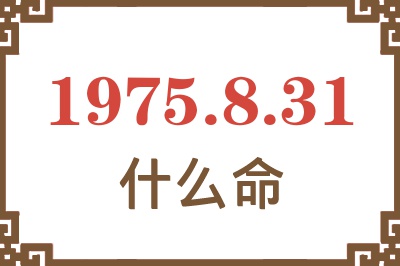 1975年8月31日出生是什么命？