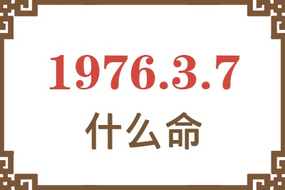 1976年3月7日出生是什么命？