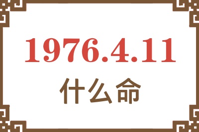 1976年4月11日出生是什么命？