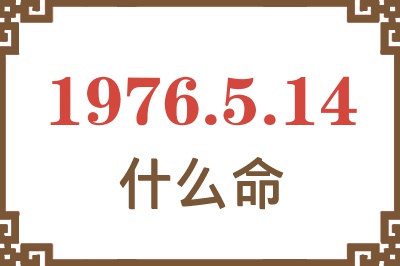 1976年5月14日出生是什么命？