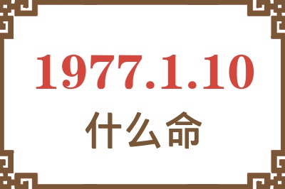 1977年1月10日出生是什么命？