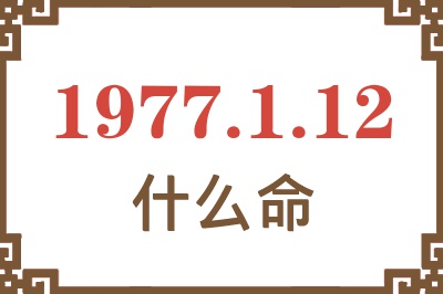 1977年1月12日出生是什么命？