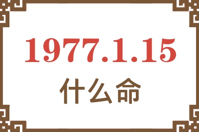 1977年1月15日出生是什么命？