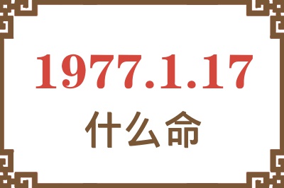 1977年1月17日出生是什么命？