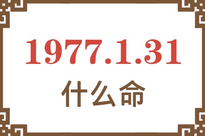 1977年1月31日出生是什么命？