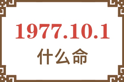 1977年10月1日出生是什么命？