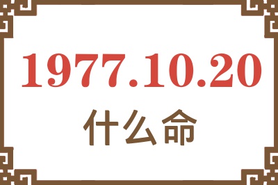 1977年10月20日出生是什么命？