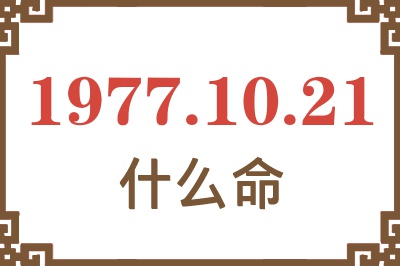 1977年10月21日出生是什么命？