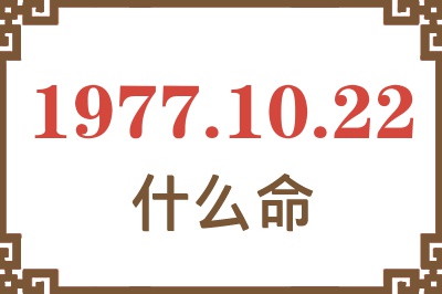 1977年10月22日出生是什么命？