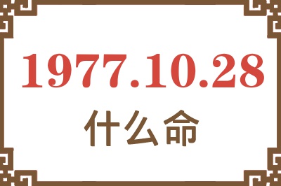 1977年10月28日出生是什么命？