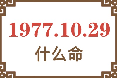 1977年10月29日出生是什么命？