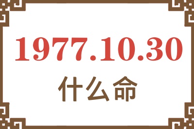 1977年10月30日出生是什么命？