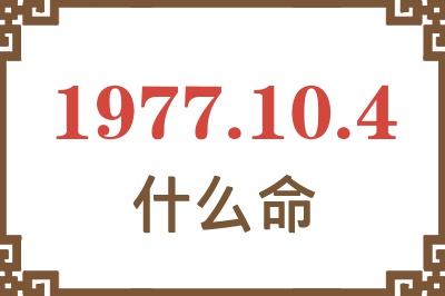 1977年10月4日出生是什么命？