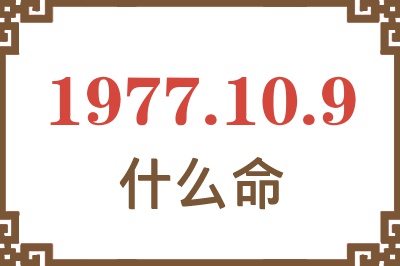 1977年10月9日出生是什么命？