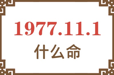 1977年11月1日出生是什么命？