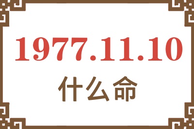 1977年11月10日出生是什么命？