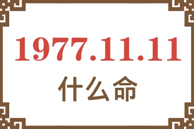 1977年11月11日出生是什么命？