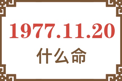 1977年11月20日出生是什么命？