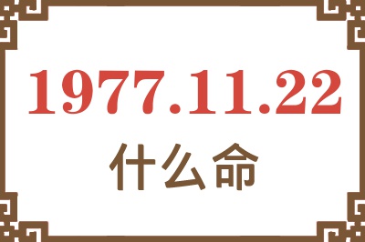 1977年11月22日出生是什么命？