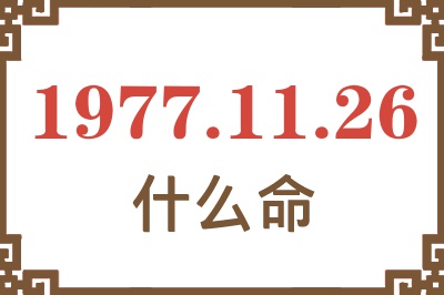 1977年11月26日出生是什么命？