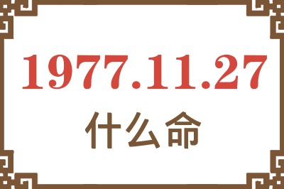 1977年11月27日出生是什么命？