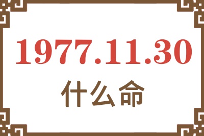 1977年11月30日出生是什么命？