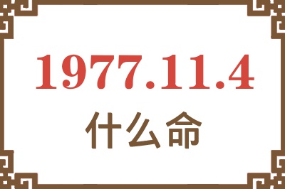 1977年11月4日出生是什么命？