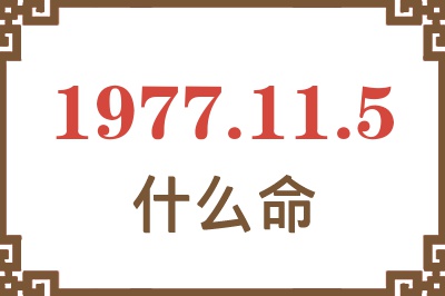 1977年11月5日出生是什么命？