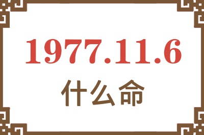 1977年11月6日出生是什么命？