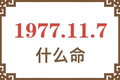 1977年11月7日出生是什么命？