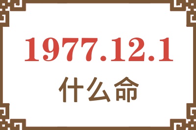 1977年12月1日出生是什么命？