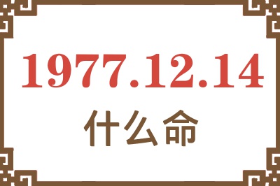 1977年12月14日出生是什么命？