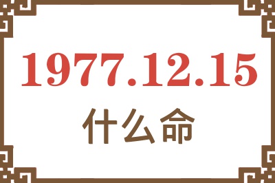 1977年12月15日出生是什么命？