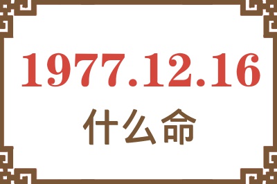 1977年12月16日出生是什么命？