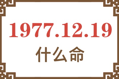 1977年12月19日出生是什么命？