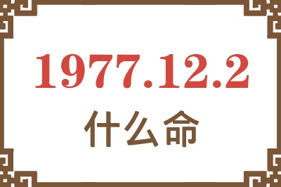 1977年12月2日出生是什么命？