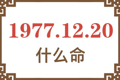 1977年12月20日出生是什么命？