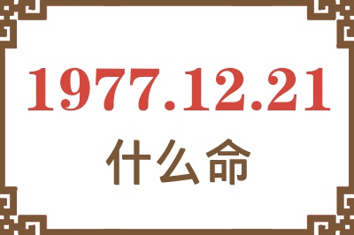 1977年12月21日出生是什么命？