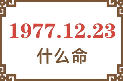 1977年12月23日出生是什么命？