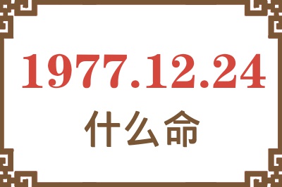 1977年12月24日出生是什么命？