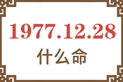 1977年12月28日出生是什么命？