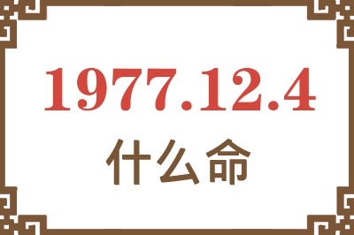 1977年12月4日出生是什么命？