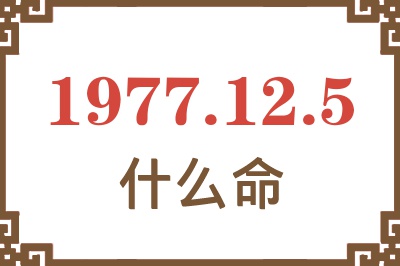 1977年12月5日出生是什么命？