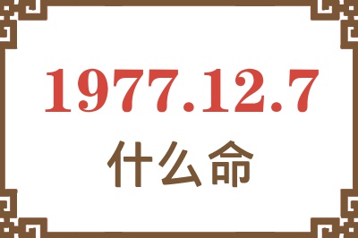 1977年12月7日出生是什么命？