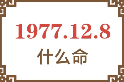 1977年12月8日出生是什么命？