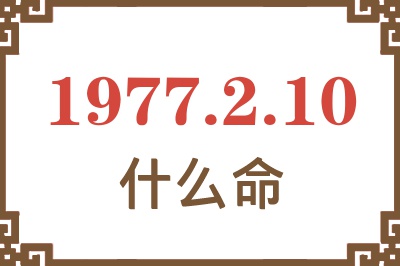 1977年2月10日出生是什么命？